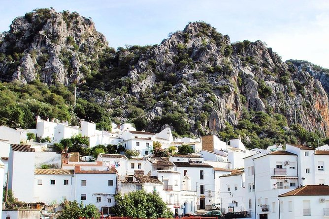 Private Guided Day Trip to the White Villages and Ronda from Seville - Price and value: what $360.53 buys you in the real world