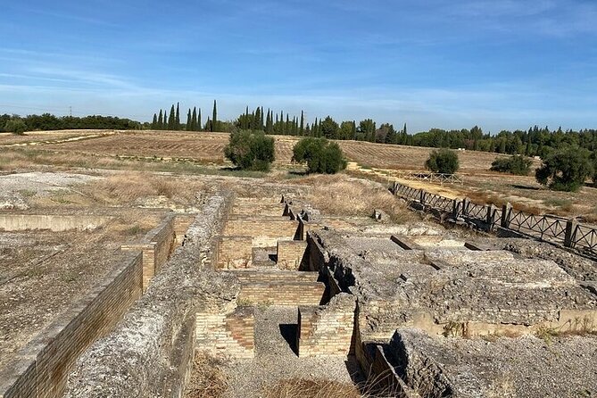 Private hald day tour to the historic roman city of Italica - Weather, comfort, and how to get the most from the day
