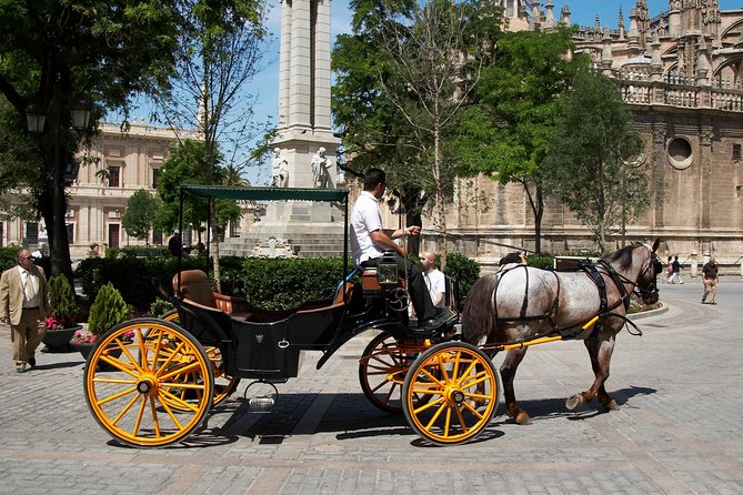Private Horse Carriage Ride and Walking Tour of Seville - Why the 9:00 AM start matters in Seville