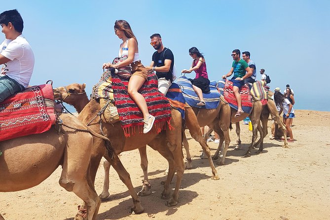 Private Morocco Day Tour: Tangier from Seville - Tangier Orientation With a Local Guide (The Part That Changes Everything)