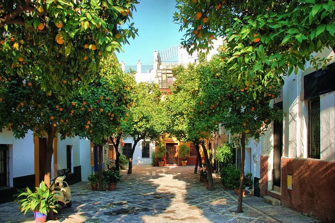 Private Sevilla Tour for families with children and teens... - Timing, meeting point, and how to set yourself up for an easy day