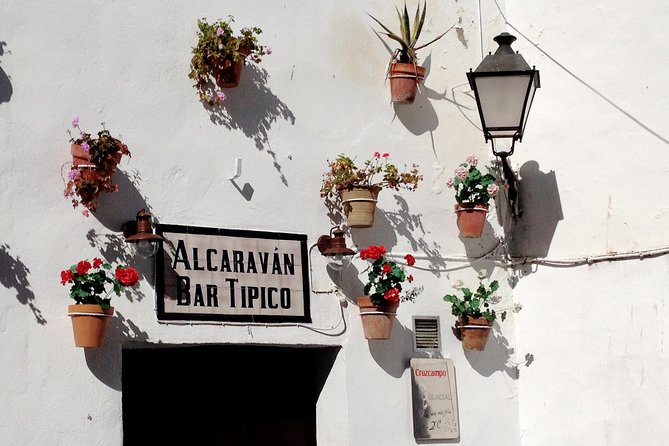 Private Seville Transfer to Malaga Including Visit to Ronda - Why this Seville-to-Malaga transfer feels worth it