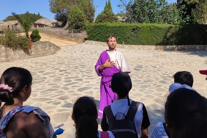 Private Theatrical Journey with Roman Emperor in Italica - Why this emperor-led Italica tour feels like more than ruins