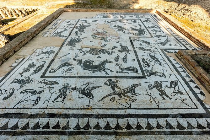 Private Theatrical Journey with Roman Emperor in Italica - Pickup and timing: how to make the trip feel effortless