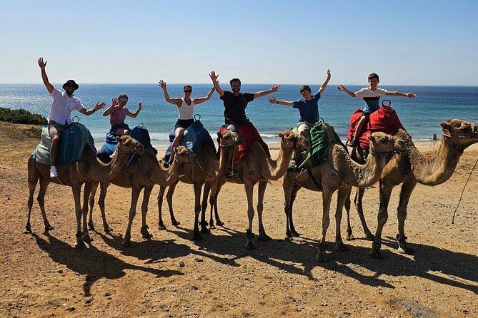 Private Tour: Day through Gibraltar and Morocco, Tangier from Seville - Key Highlights You’ll Actually Feel