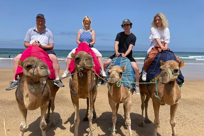 Private Tour: Day through Gibraltar and Morocco, Tangier from Seville - Tangier: Kasbah Streets, Souk Energy, Cape Spartel, and Camel Time