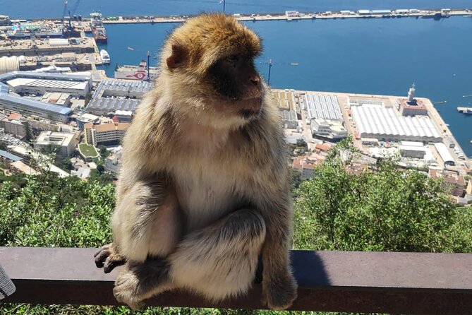 Private Tour: Day through Gibraltar and Morocco, Tangier from Seville - What the Price Covers, and When It Feels Worth It
