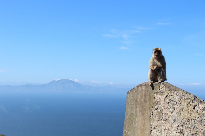 Private Tour: Day through Gibraltar and Morocco, Tangier from Seville - Your Best Fit: Who This Tour Works For