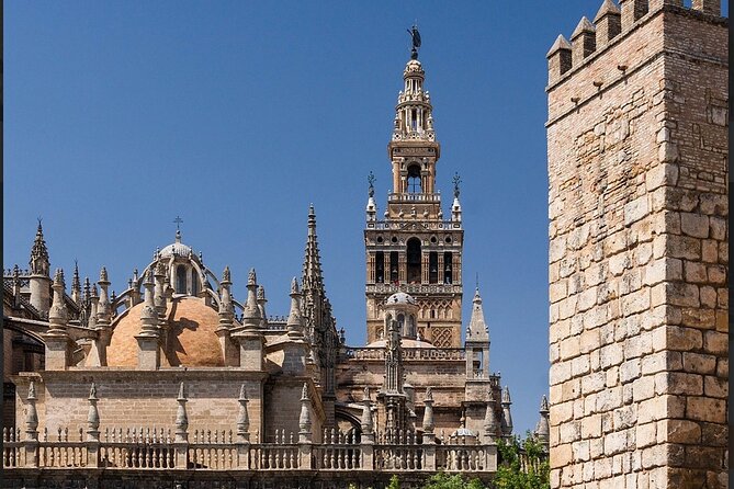 Private Tour of the Cathedral and Giralda of Seville - Small logistics you should know before you go