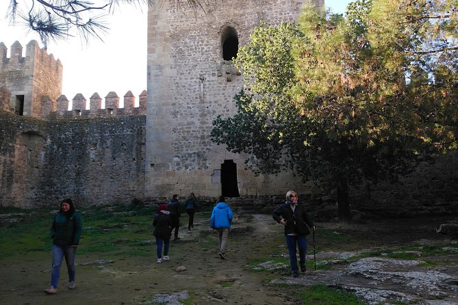 Private Tour Ronda and White Villages from Seville - How the Seville-to-Ronda Loop Works in 10 Hours