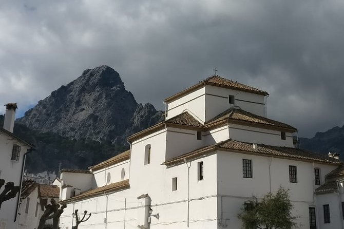 Private Tour Ronda and White Villages from Seville - Stop 3: Sierra de Grazalema Natural Park and an Oil Mill Stop