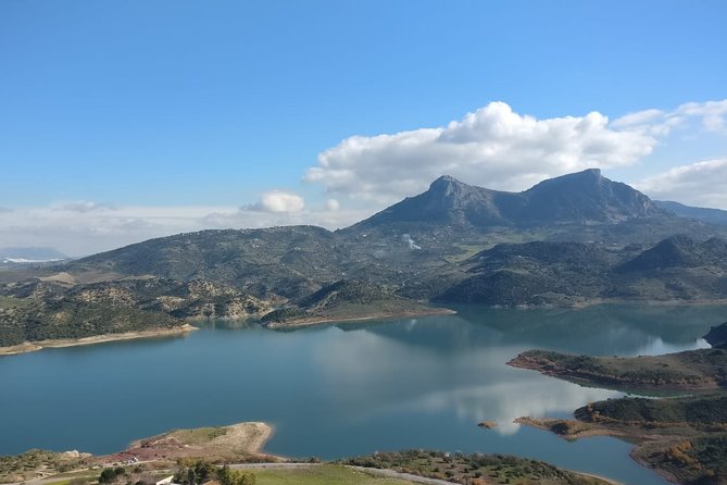 Private Tour Ronda and White Villages from Seville - Stop 1: Aguzaderas Castle in El Coronil (Quick, Worth It?)