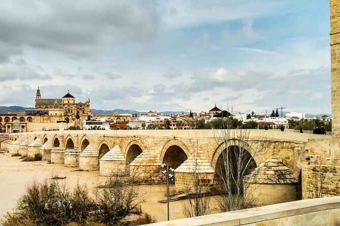 Private tour to Cordoba from Seville (several options) - Key things that make this Córdoba day trip work