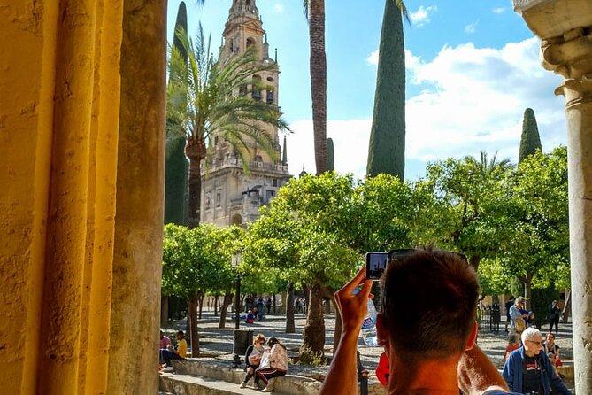 Private tour to Cordoba from Seville (several options) - Seville to Córdoba, without wasting the day