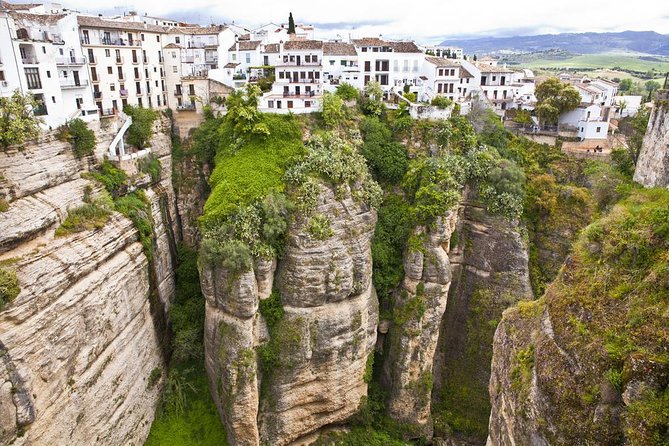 Private tour to Ronda from Seville (several options) - Seville to Ronda: the ride that sets up the day