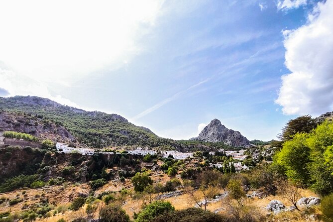 Private tour to Ronda from Seville (several options) - Practical tips to make the day smoother