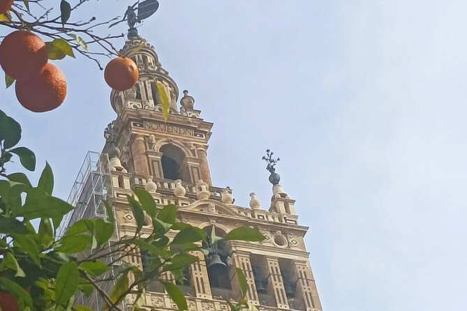 Private Tour with Local Guide to know the Seville Essential - Getting your bearings at Archivo de Indias (and why this start matters)