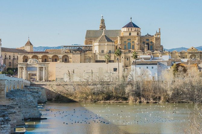 Private Transfer Seville to Granada with a Tour of Cordoba/Mosque - Luggage, vehicle comfort, and the one drawback to watch