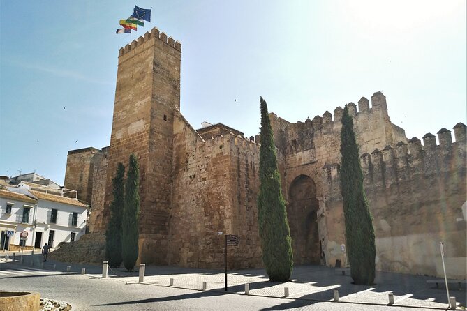 Private trip to Carmona from Seville: 5000 years of history - Plaza San Fernando: where to lunch like a local