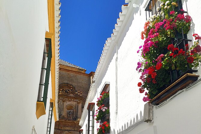 Private trip to Carmona from Seville: 5000 years of history - Price and value: what $300.40 per person buys you