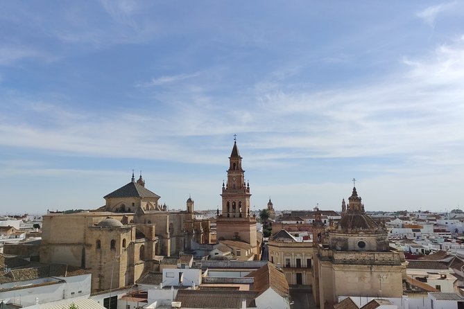 Private visit to Carmona and its main monuments - Alcázar de la Puerta de Sevilla: Fortifications First, Then the Payoff Views