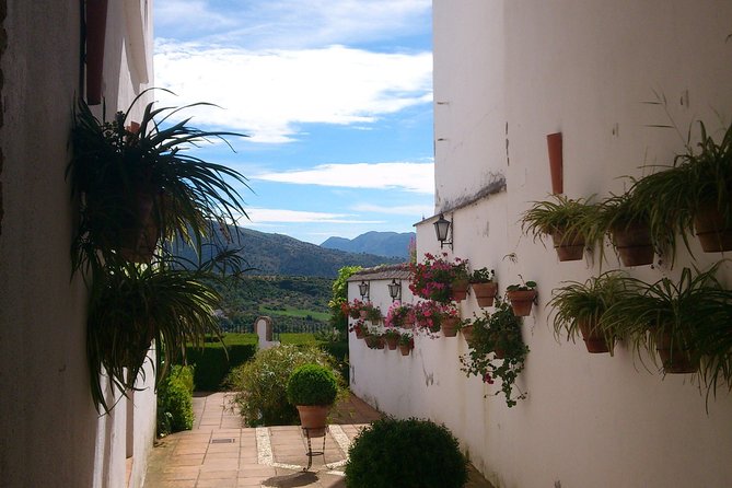 Private White Villages & Ronda Day Tour from Seville - Zahara de la Sierra: white village time plus an olive oil moment