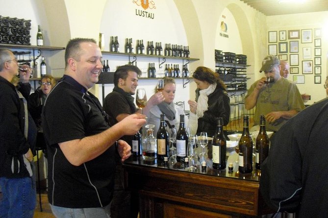 Private wine tour to Jerez de la Frontera - Who this tour fits best (and who may want a different plan)