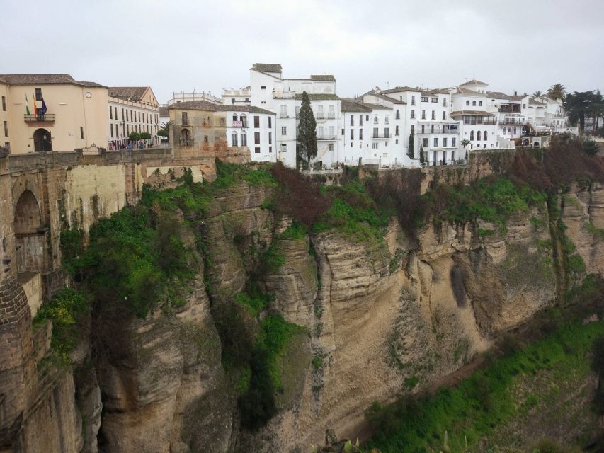 Pueblos Blancos & Ronda: Private Full-Day Tour from Seville - Key Highlights Worth Planning Around