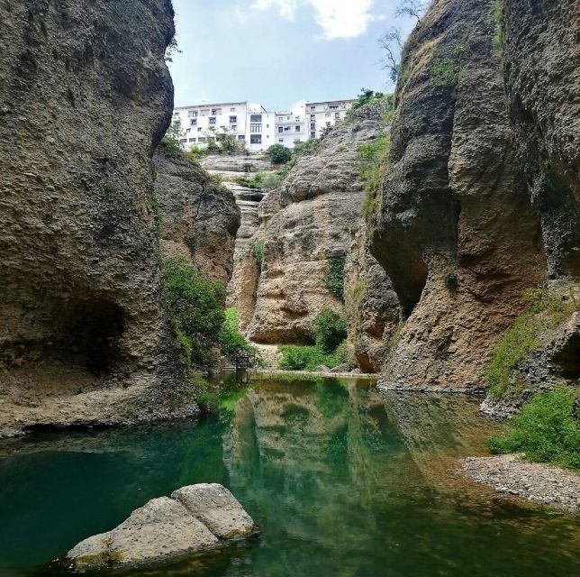 Pueblos Blancos & Ronda: Private Full-Day Tour from Seville - Ronda’s Two-Cliff Layout and the Puente Nuevo Finale