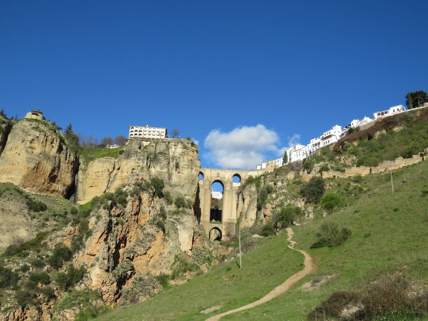 Pueblos Blancos & Ronda: Private Full-Day Tour from Seville - Sierra de Grazalema: Puerto de las Palomas and the Best Chance at Vultures