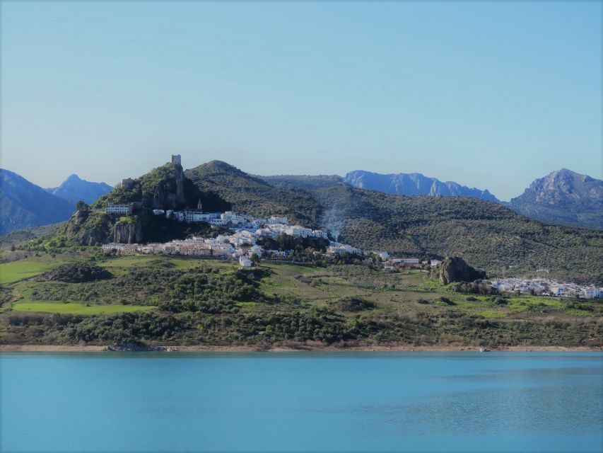 Pueblos Blancos & Ronda: Private Full-Day Tour from Seville - The Seville Drive: Wheat, Sunflowers, and the Start of the Scenery Shift