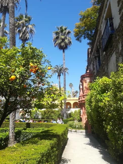 Real Alcázar of Seville Skip-the-Line Private Tour - FAQ
