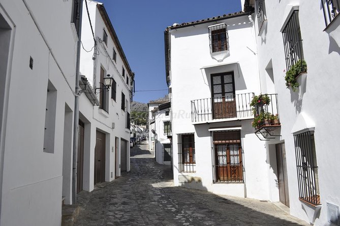 Ronda and White Villages Guided Day Tour from Seville - Puente Nuevo views plus the bullring decision: know what’s included