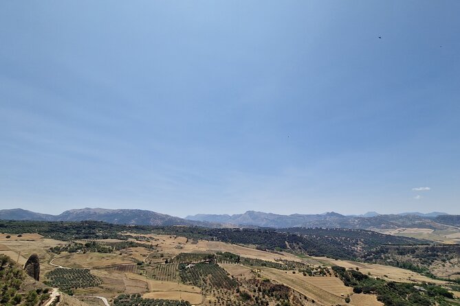 Ronda and White Villages Private Day Trip from Seville - Price and logistics: what you’re really paying for
