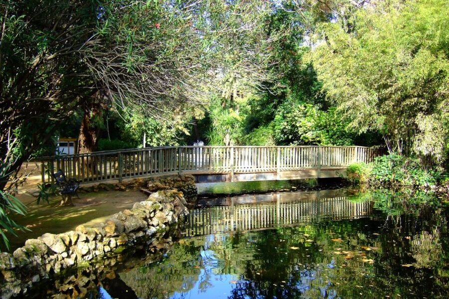 Secrets of Maria Luisa Park and Plaza de Espana - Should you book this Seville tour?