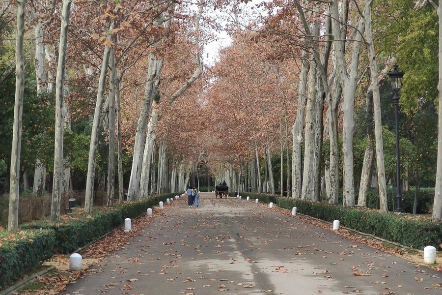Secrets of Maria Luisa Park and Plaza de Espana - What the official Spanish guide does for you