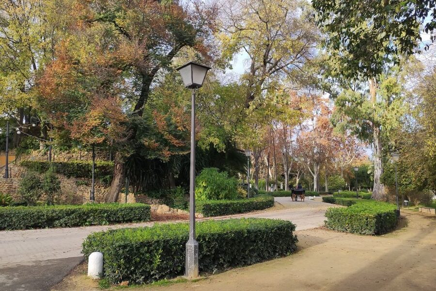 Secrets of Maria Luisa Park and Plaza de Espana - Packing tips for Seville sun in a historic park