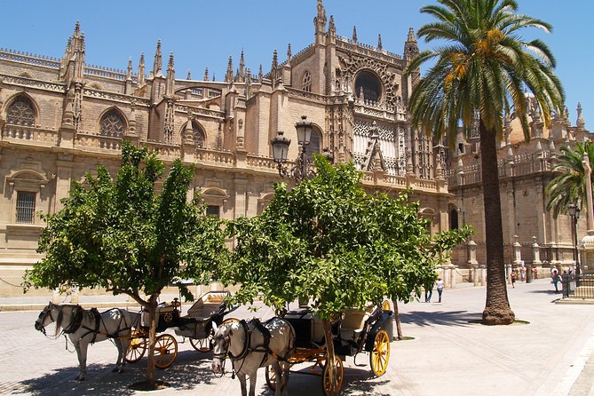 Sevilla: Best Monumental Free Walking Tour - Price that feels fair: what you pay and what you get