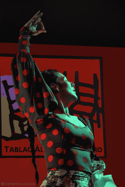 Sevilla: Flamenco Show at Tablao Álvarez Quintero - The guitar and vocals: the part that often hits hardest