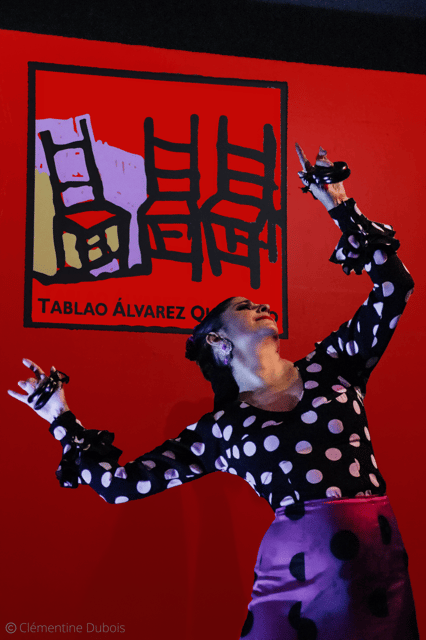 Sevilla: Flamenco Show at Tablao Álvarez Quintero - Who should book this flamenco show (and who might skip it)
