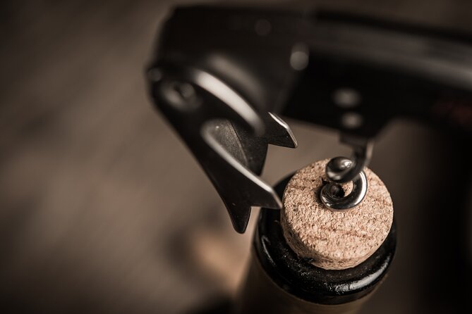 Sevilla: Fun Wine Tasting with an Spanish Sommelier - Price and Value: Is $57.96 a Good Deal?