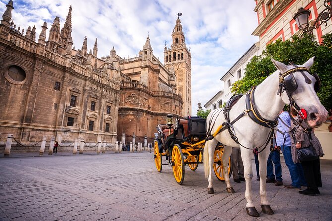 Sevilla: Guided tour to Cathedral and Giralda - Logistics that matter: timing, group size, and finding your people