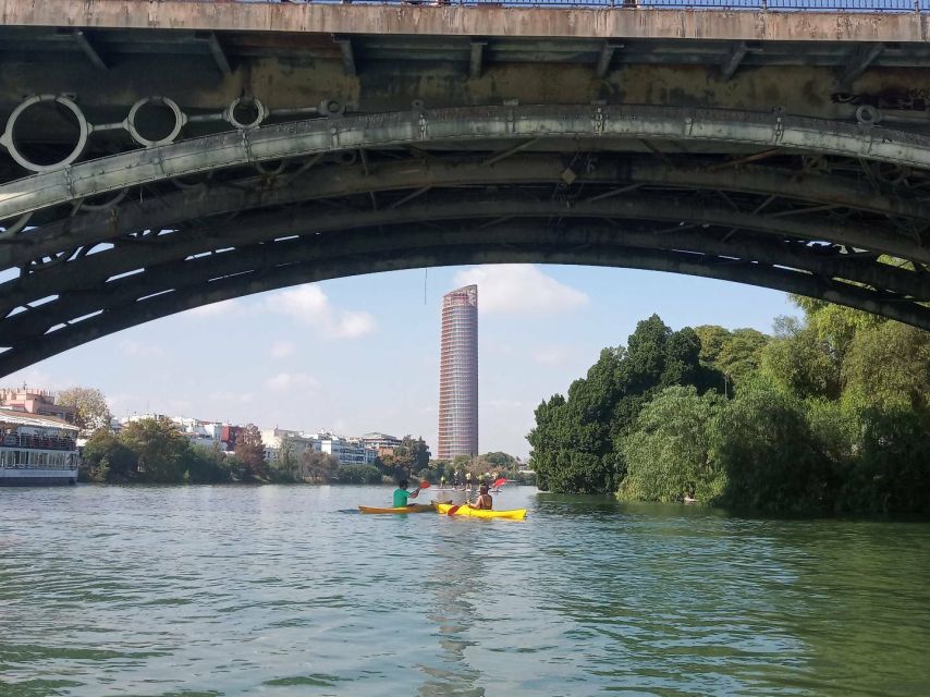Sevilla: Kayak Rental on the Guadalquivir - Wildlife on the Guadalquivir: Turtles, Ducks, and Birds Overhead