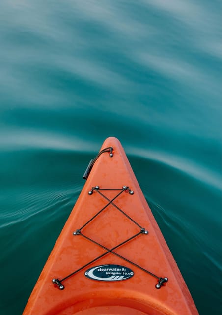 Seville: 1.5 hour Kayak Excursion - Key things to know before you paddle