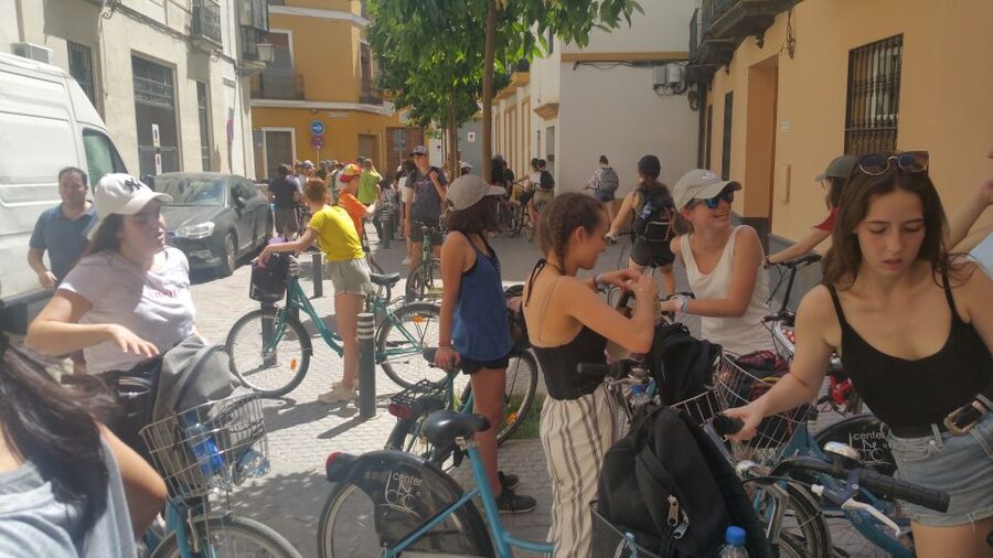 Seville: 1-Day Bike Rental - Price and Value: Is $17 Per Person Fair?