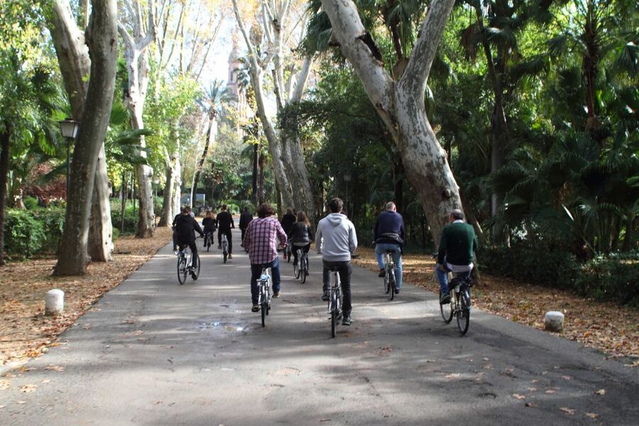 Seville: 1-Day Bike Rental - Choosing Your Own Route (and Actually Making It Work)