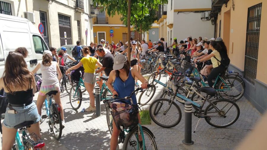 Seville: 1-Day Bike Rental - Getting Local Dining and Drink Tips From Sevillian Advisors