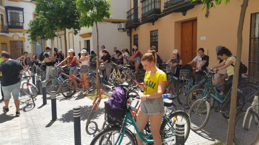 Seville: 1-Day Bike Rental - Timing in a One-Day Rental: Build Your Day Around Stops