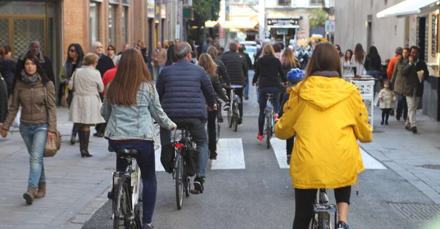 Seville: 1-Day Bike Rental - Why a 1-Day Bike Loop Works So Well in Seville