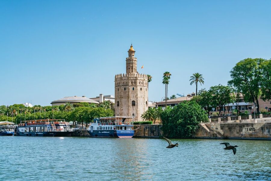 Seville: 1-Hour Guadalquivir River Sightseeing Eco Cruise - Onboard Bar, Seating Choices, and What You Can Expect On Deck